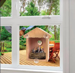 Premium Bird House