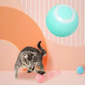 Interactive Pet Toy Moving Ball