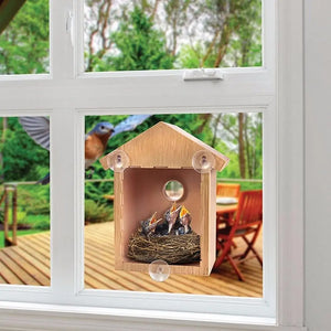 Premium Bird House